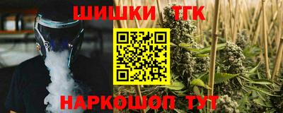 spice Камышлов