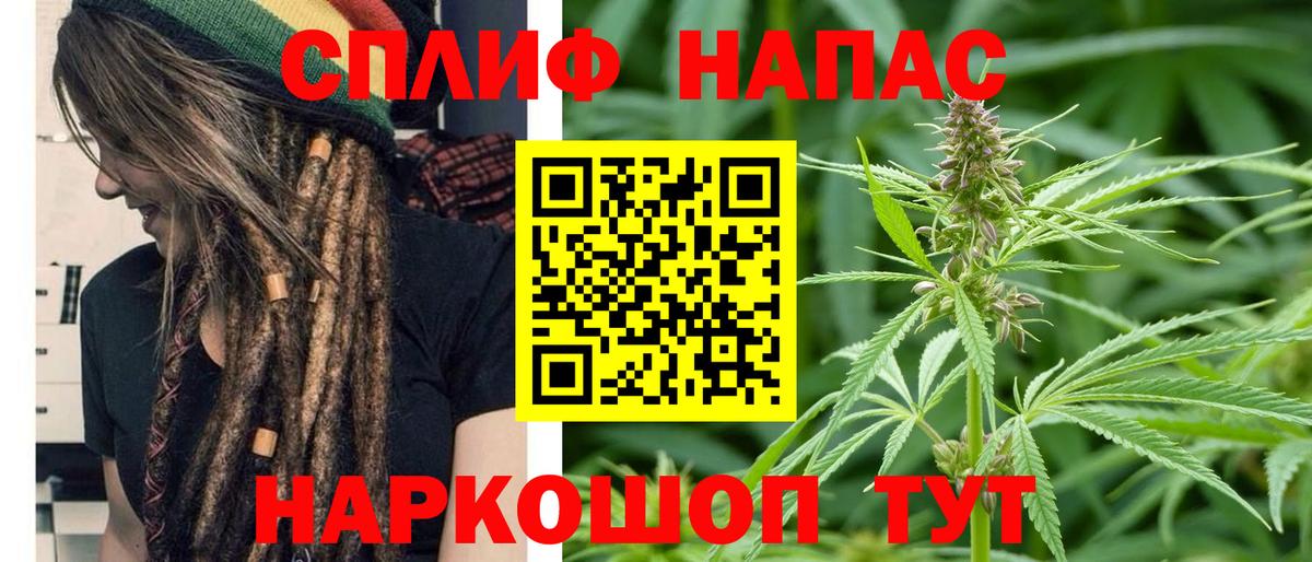 Шебекино  Каннабис планчик  Марихуана Bruce Banner  МАРИХУАНА ГИДРОПОН  Вход с VPN 